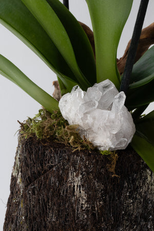 Flores con Cuarzo Blanco o Amatista